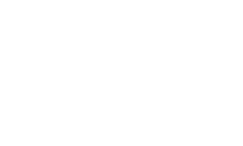 ali lavoro academy